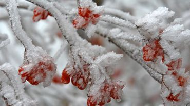 Lietuvoje – itin žvarbūs ir snieguoti orai