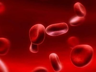 Железо — важный и… опасный микроэлемент - Наука и здоровье