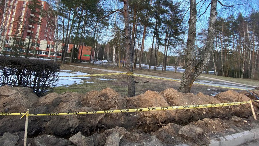 Жители обеспокоены: при прокладке траншей обрубаются корни деревьев (видео) - В Висагинасе