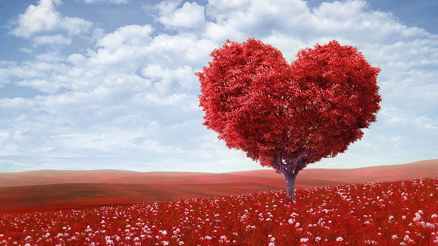 Сайты знакомств открывают секреты подбора пары - Хобби, отдых и развлечения