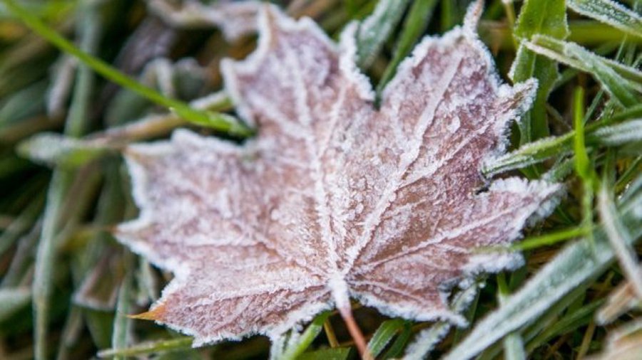 Прогноз: после заморозков порадует осеннее тепло - Литва и страны Балтии