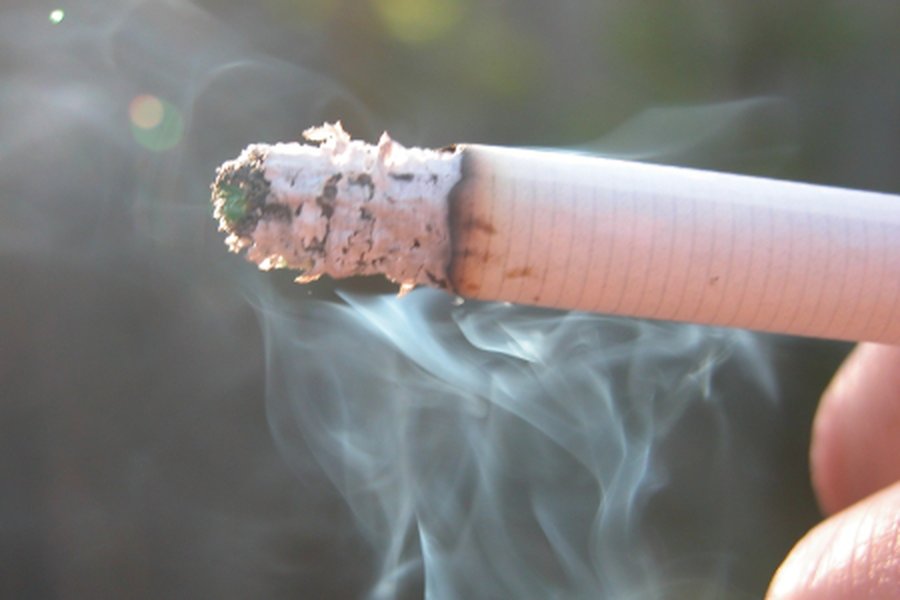 Курение разрушительно действует на мужской интеллект                                                                                                