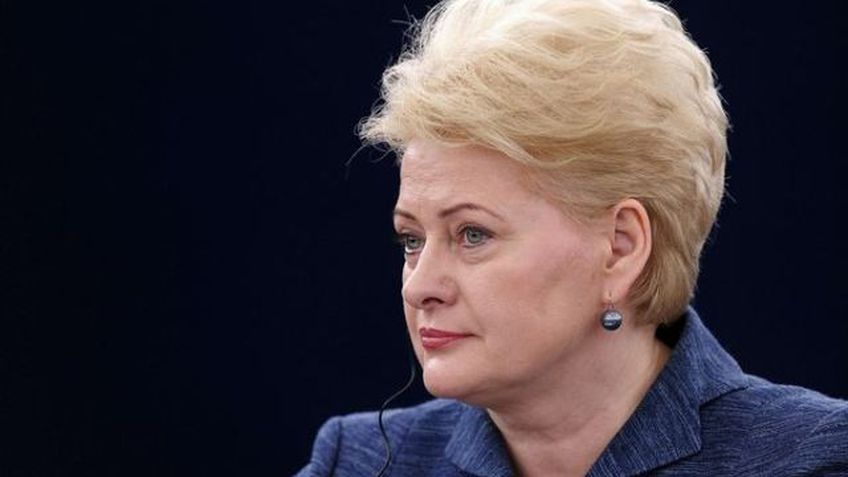 Денис Тарасенко: «Травля» президента Литвы Дали Грибаускайте