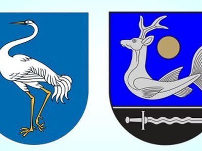 Выборы в Сейм-2012: Висагинас и Зарасай - В Висагинасе