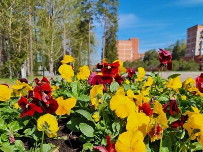 В Литве будет сухо и тепло: по-прежнему будет стоять летняя погода - Литва и страны Балтии
