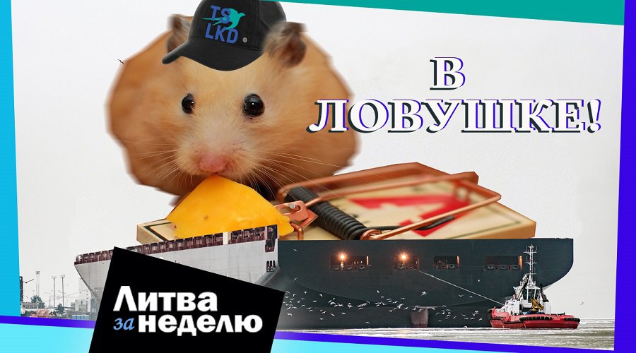 Эти дни войдут в учебники истории Литвы: Литва за неделю (видео) - Литва и страны Балтии