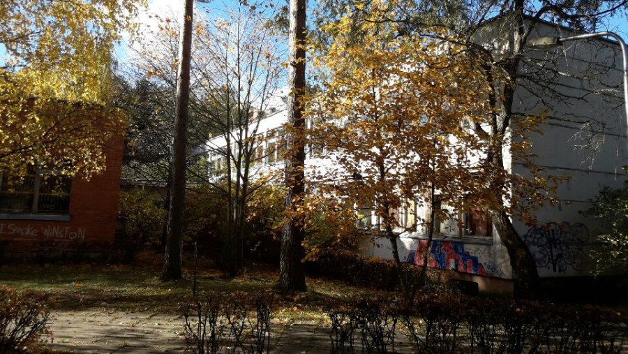 А. Клочан: «Затягивая пояса нельзя продолжать шиковать и жить на широкую ногу» - В Висагинасе