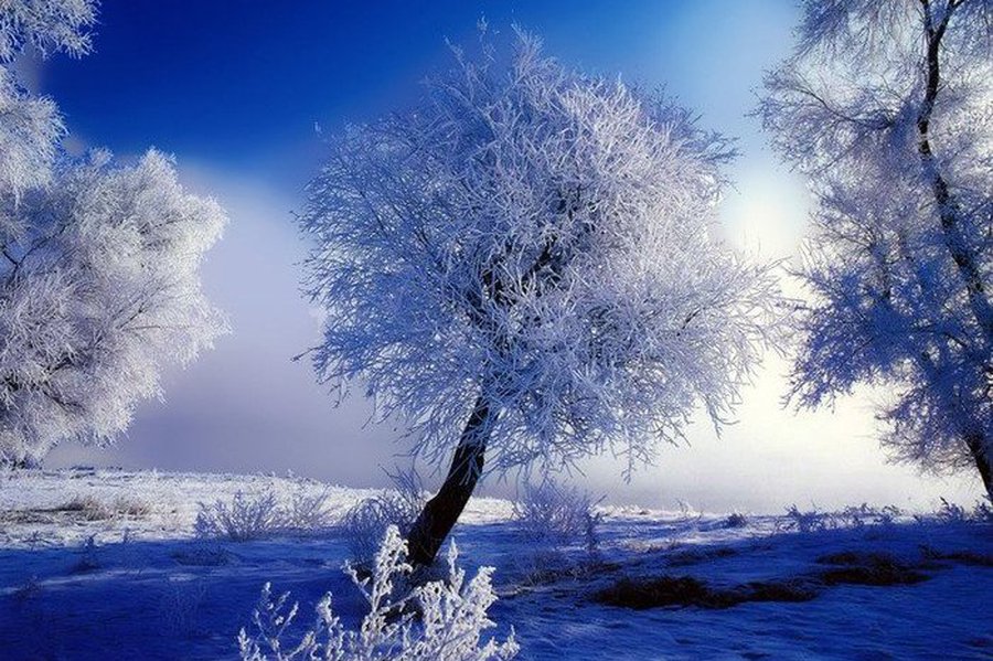 Зимой участятся снежные ураганы, а лето станет благоприятнее для туризма                                 - Наука и здоровье