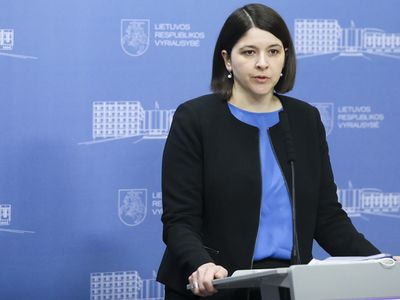 Министр финансов: Литва дополнительно выделить 2 млн. евро на поддержку людей, бегущих от войны внутри Украины - В Мире