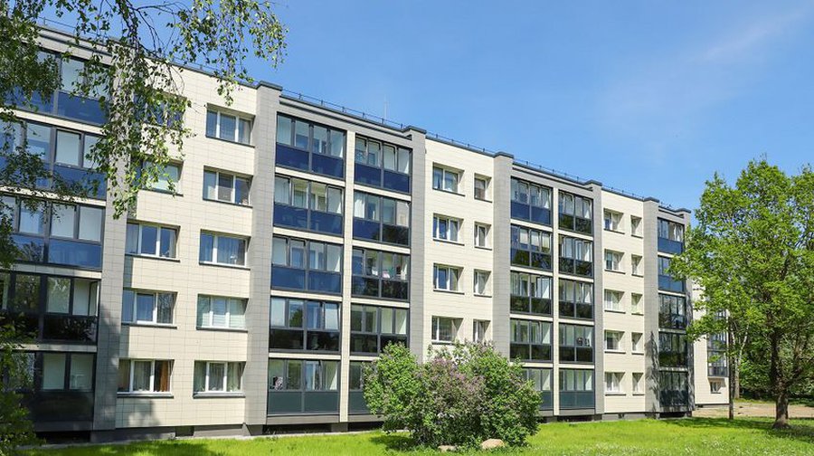 Илья Петров – о своей работе советником директора «Висагино бустас» (видео) - В Висагинасе