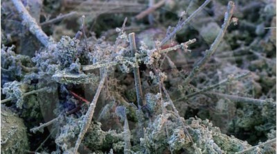 Извечный вопрос: откуда она взялась? - Наука и здоровье