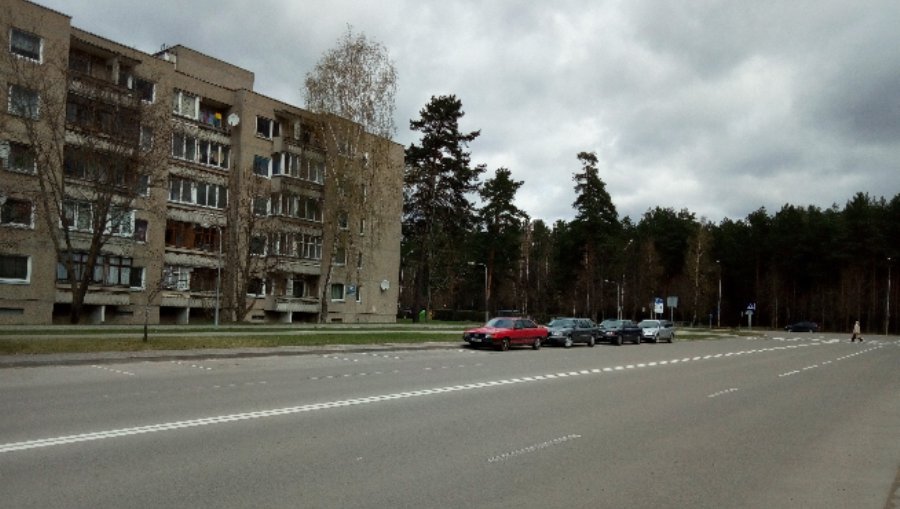 И вновь о «брошенках» - В Висагинасе