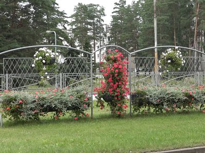 В этом году свое 47-летие Висагинас будет отмечать почти две недели (видео) - В Висагинасе