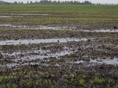 Литовские фермеры получат 9 млн. евро финансовой помощи ЕС - Литва и страны Балтии