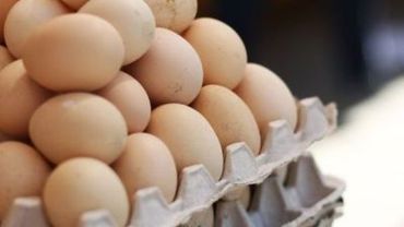 Už kiaušinius - pusė milijono litų pajamų vos per keturis mėnesius
