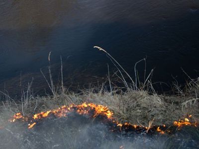 Пожарные предупреждают: не жгите прошлогоднюю траву!                                                                                                  - В Висагинасе