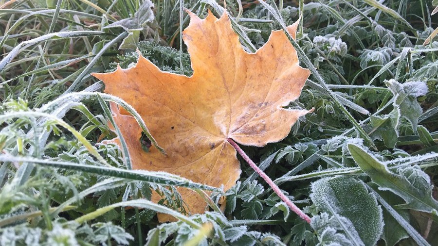 В Литву идет значительное похолодание - Литва и страны Балтии