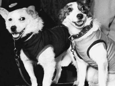 50 лет знаменитому полету в космос
 - Хобби, отдых и развлечения