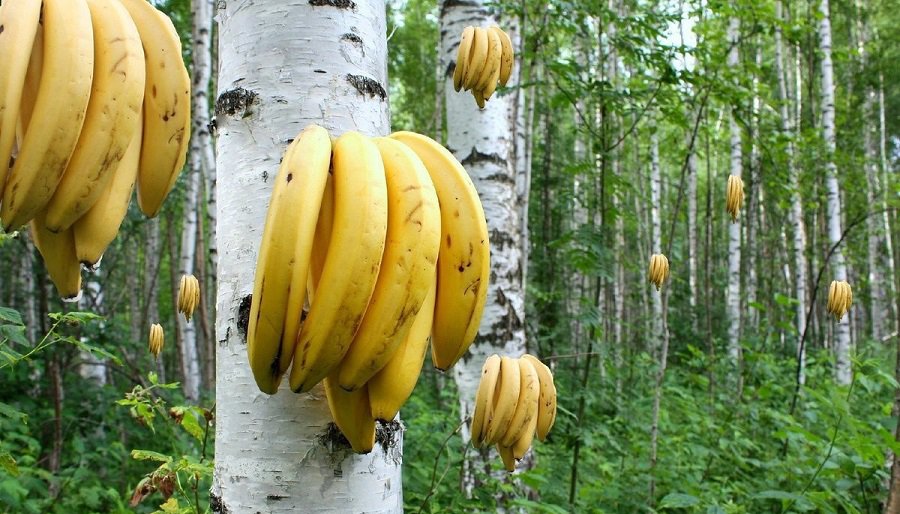 Апрель будет немного теплее обычного - Литва и страны Балтии