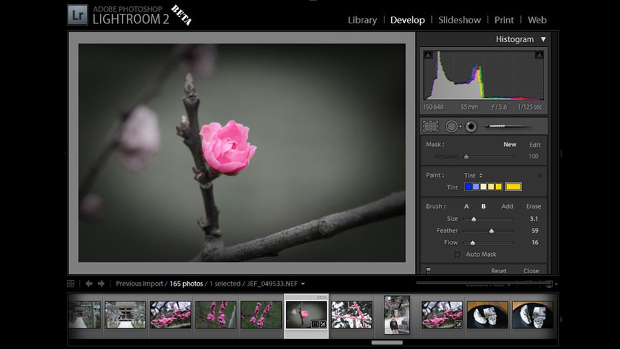 Фотопрограмма Lightroom выйдет на планшетах - IT новости