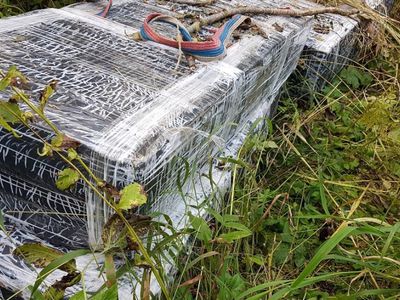 Контрабандисты лишились крупного «клада» - Происшествия и криминал