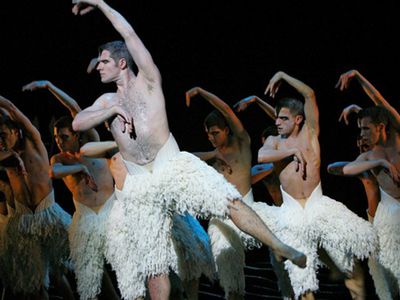 The Times: Россия не увидит гей-версию «Лебединого озера» - Культурные и спортивные мероприятия