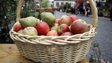 „Pricer.lt“: самым дорожающим товаром остается картофель, самым дешевеющим - яблоки