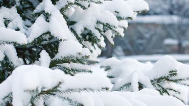 Зимняя погода из Литвы не уйдет: где выпадет больше всего снега