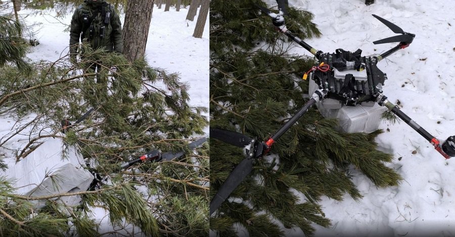 С помощью лесничего пограничники сняли с верхушки сосны приземлённый дрон с белорусскими сигаретами - Происшествия и криминал