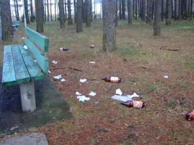 «Культурно» отдохнули...                                                                                 - В Висагинасе