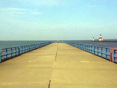 Увлеченная SMS-перепиской американка упала в озеро                                 - Хобби, отдых и развлечения