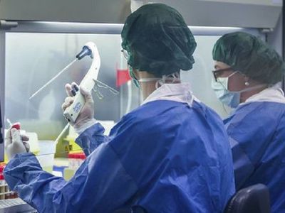 В Италии категорически отвергли лабораторное происхождение коронавируса - Наука и здоровье