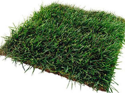 Поправки в закон «О земле» Литвы ущемляют права землевладельцев - Литва и страны Балтии