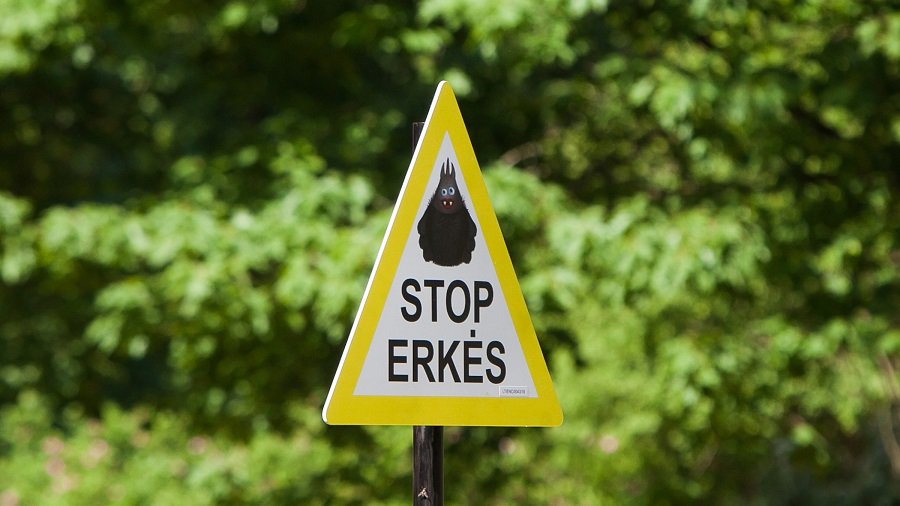 В Литве - четвертая жертва клещевого энцефалита - Литва и страны Балтии