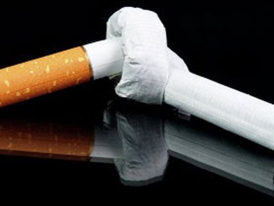 Последствия курения можно исправить за 8 лет - Наука и здоровье