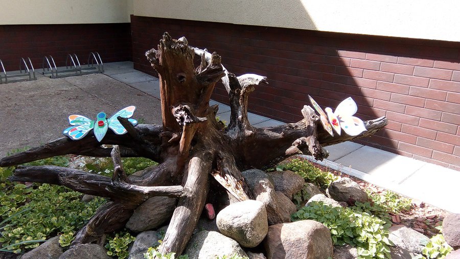 В Доме творчества цейтнот: все готовятся к юбилею - В Висагинасе