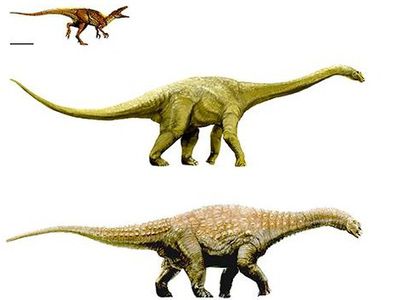 В Австралии найдены останки трех новых видов динозавров - Наука и здоровье