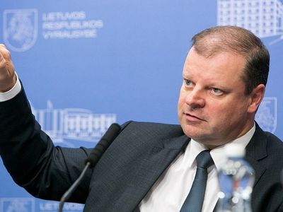 С. Сквернялис: решение снизить планку для референдума - логичное - Литва и страны Балтии