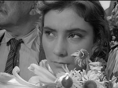 Триумф кинофильма «Летят журавли»                 - Культурные и спортивные мероприятия