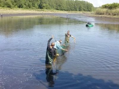 После аварии в пруду Дегучяй спасли несколько десятков тысяч рыб - Хобби, отдых и развлечения