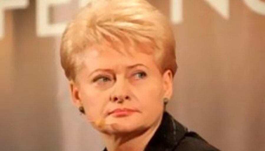 Президент Литвы продолжает встречи с кандидатами в министры, но судьба правительства по-прежнему не ясна


 - Литва и страны Балтии