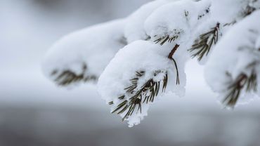 Prasideda atodrėkis: šią savaitę žiemiškus orus keis krituliai ir šiluma