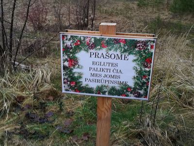 Не выбрасывайте елочки в неположенных местах! - В Висагинасе