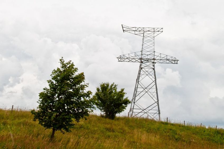 Эстонцы электроэнергию покупали на 40% дешевле, чем литовцы