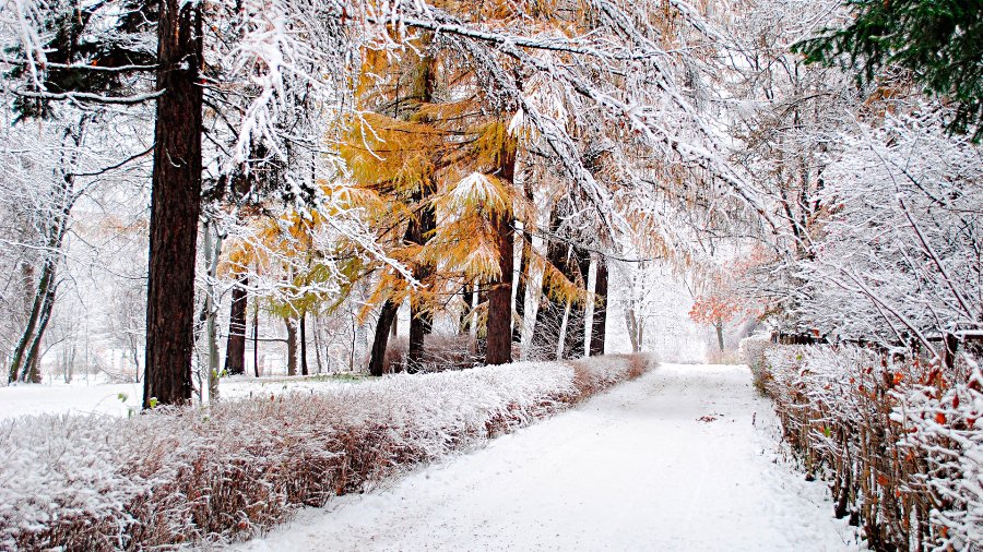 Погода: похолодание уже не за горами - Литва и страны Балтии