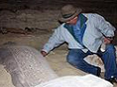 В некрополе Мемфиса нашли крупнейшее захоронение - Культурные и спортивные мероприятия