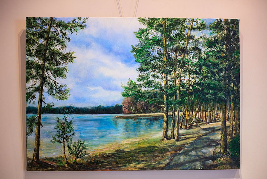 Висагинас в ритмах света и теней (фотогалерея) - В Висагинасе