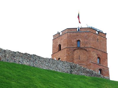 Подготовка к приходу второй волны коронавируса: Вильнюс объявляет, как будем жить до Рождества - Литва и страны Балтии