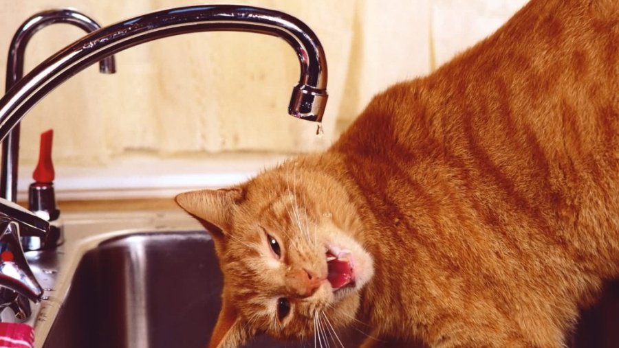 В понедельник жители 1-го микрорайона были обеспокоены качеством питьевой воды - В Висагинасе