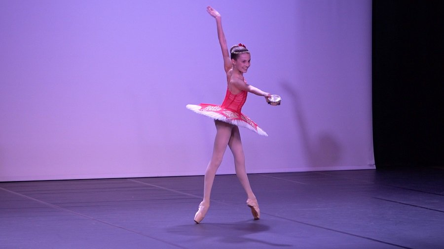 "От романтизма до наших дней" (видео) - В Висагинасе